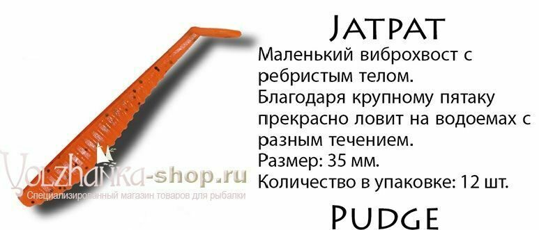 JATPAT